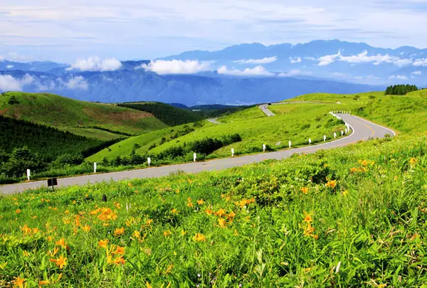 ビーナスライン