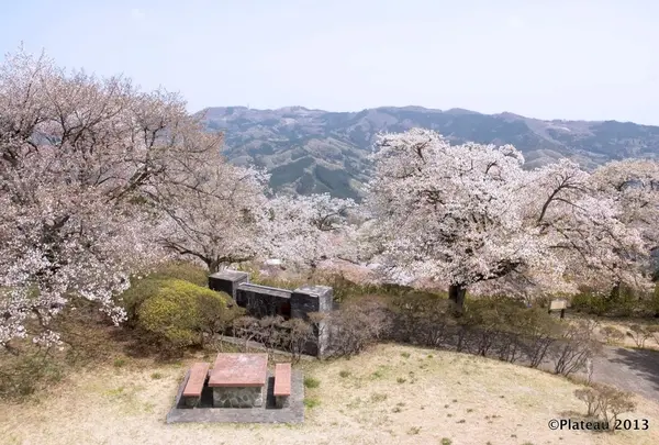 美の山公園