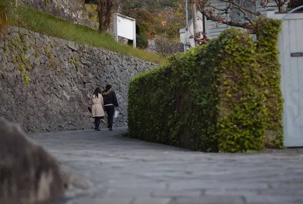 オランダ坂の写真・動画_image_291036