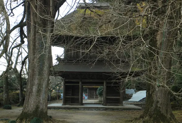 広徳寺の写真・動画_image_293976