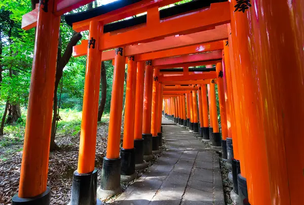 【上野・谷根千エリア】根津神社