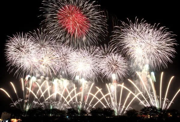 土浦全国花火競技大会