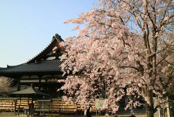 安倍文殊院