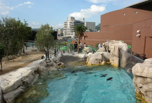 下関市立しものせき水族館・海響館