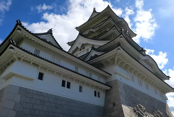 勝山城博物館の写真・動画_image_339562