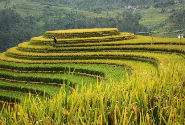 TUNG NGOC Travel