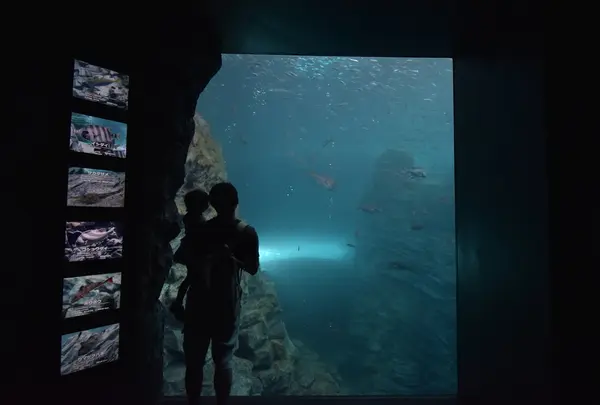 上越市立水族博物館 うみがたり（旧：上越市立水族博物館）