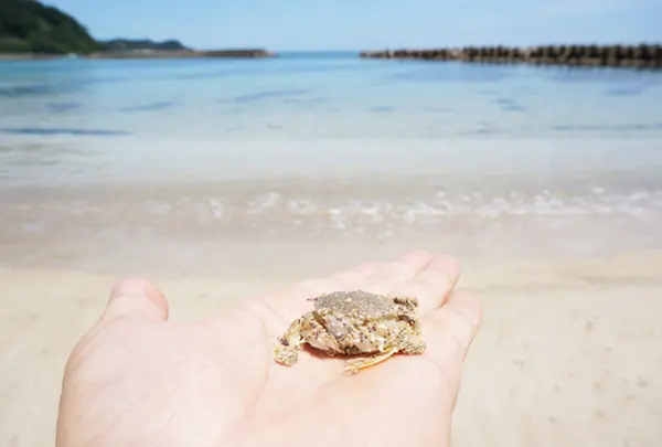 千酌海水浴場(ちくみ)