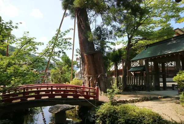 諏訪神社の写真・動画_image_407700