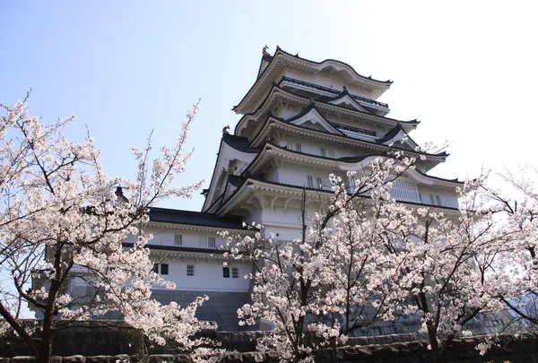 勝山城博物館の写真・動画_image_413744