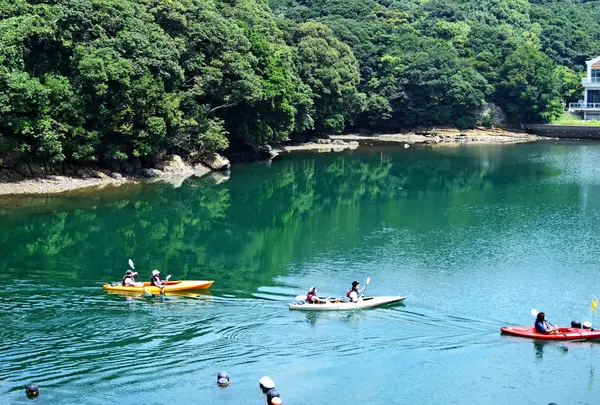 Kiaora Paddle(キオラパドル)