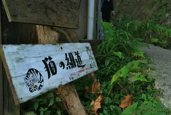 猫の細道