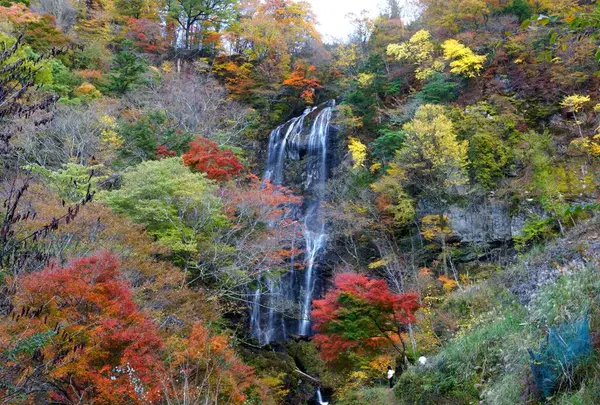 白滝