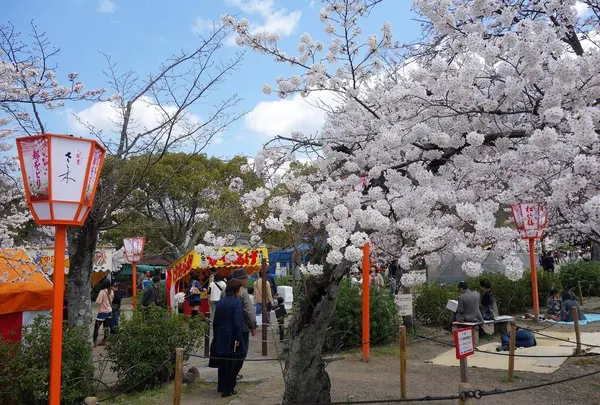 円山公園