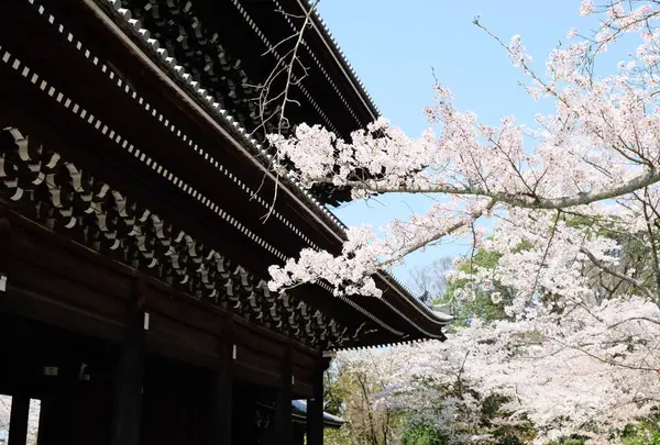 知恩院