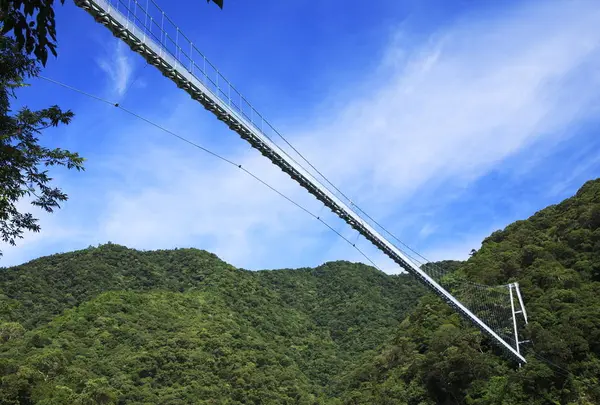 照葉大吊橋