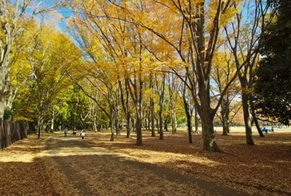 小金井公園