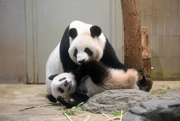 上野動物園