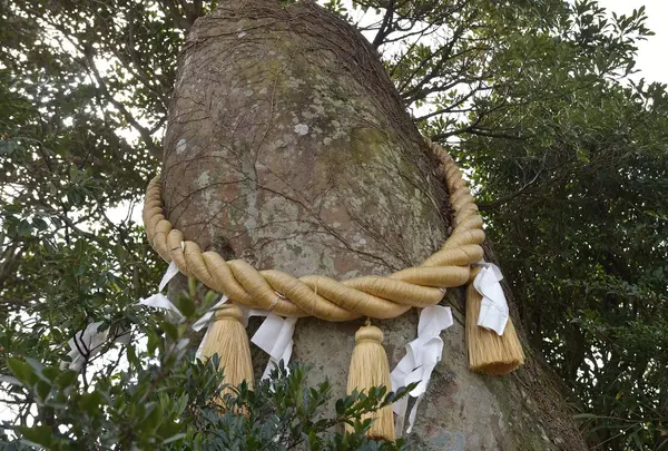 猪群山