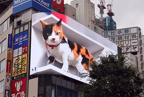 新宿東口の猫