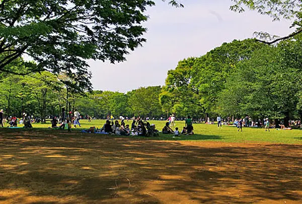 代々木公園