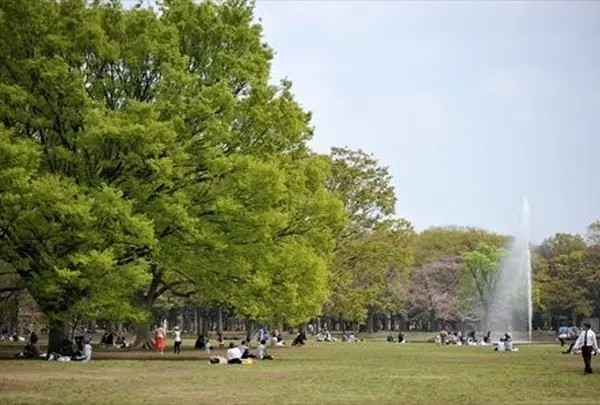 代々木公園