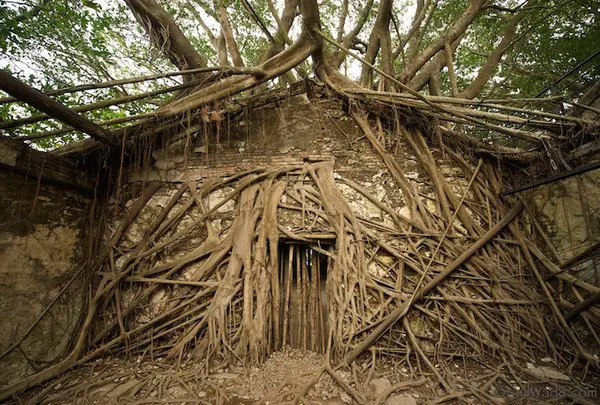 Old Tait & Co. Merchant House