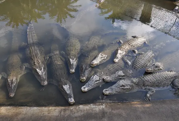 もっと動物に触れ合いたい方〜