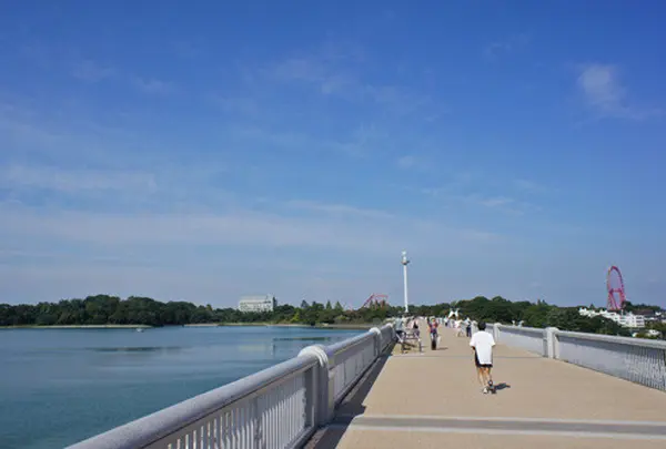 多摩湖の写真・動画_image_62446