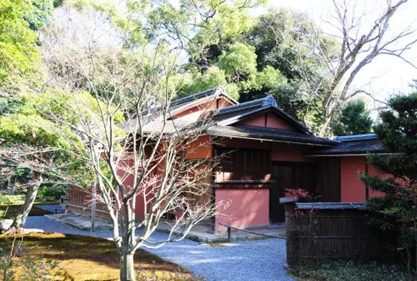 仙洞御所の写真・動画_image_71552