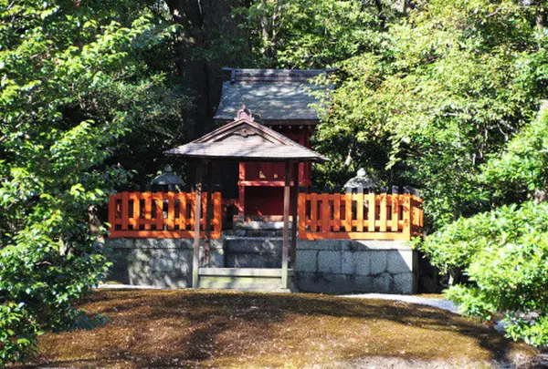 仙洞御所の写真・動画_image_71553