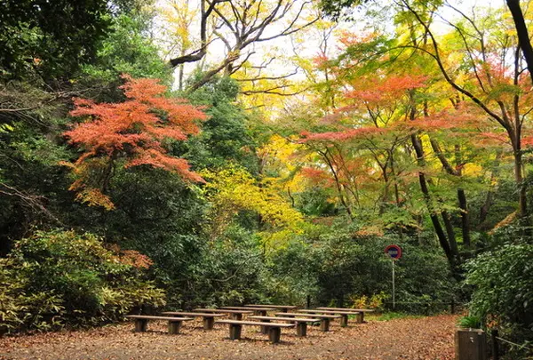 国立科学博物館附属自然教育園