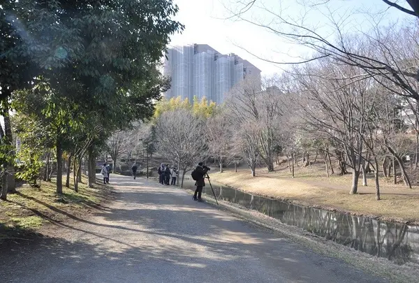 大原みねみち公園