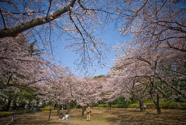 哲学堂公園