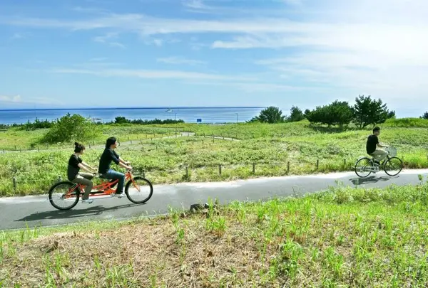 国営ひたち海浜公園