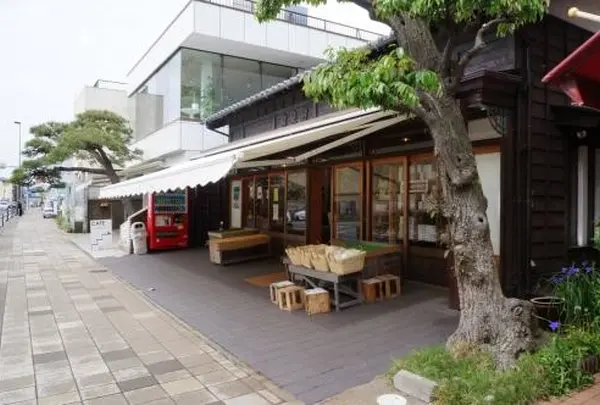 IZUTSUNE（いづ常）