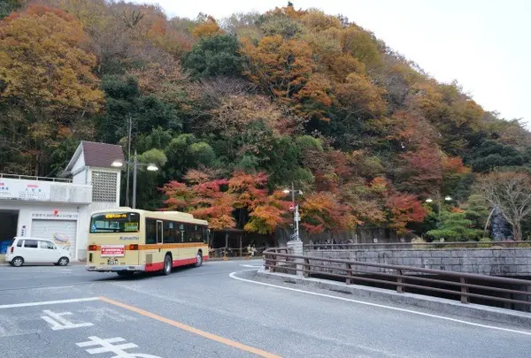 大山