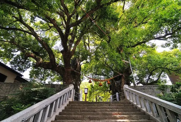 山王神社二の鳥居（一本柱鳥居）