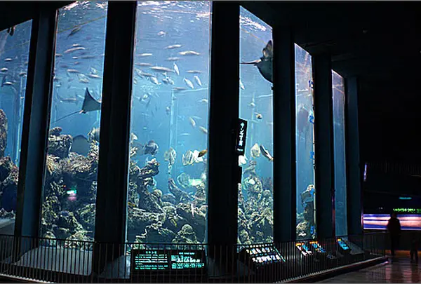 東海大学海洋科学博物館