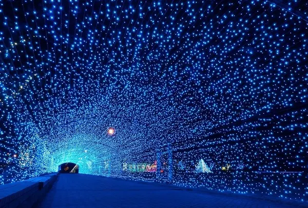 金ケ崎緑地