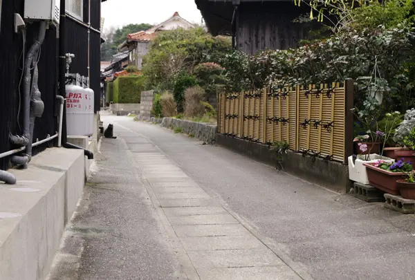島根県江津市波子町の写真・動画_image_162755