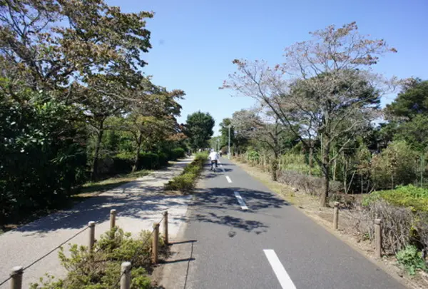 保谷狭山自然公園自転車道の写真・動画_image_166324