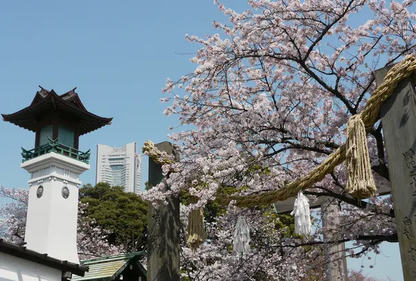 伊勢山皇大神宮