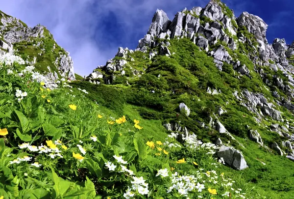 駒ケ岳の写真・動画_image_342492
