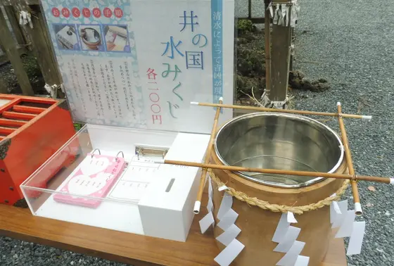 当たってる…？井の国水みくじ