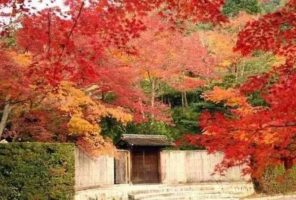 修学院離宮