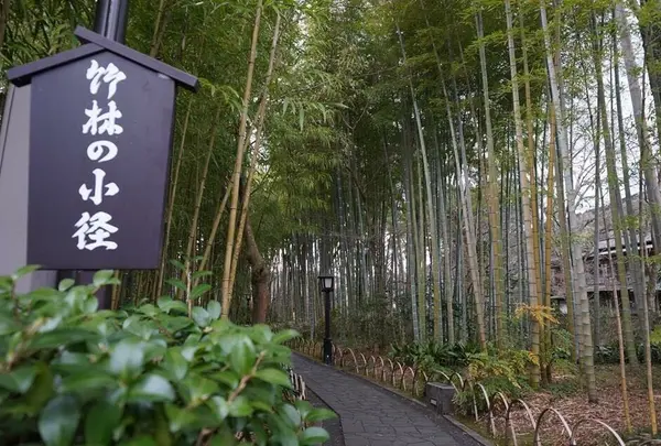 竹林の小径