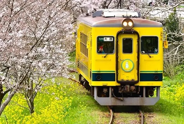 いすみ鉄道　ゆったりんこ号