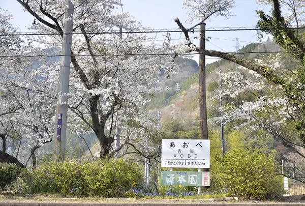 青部駅周辺
