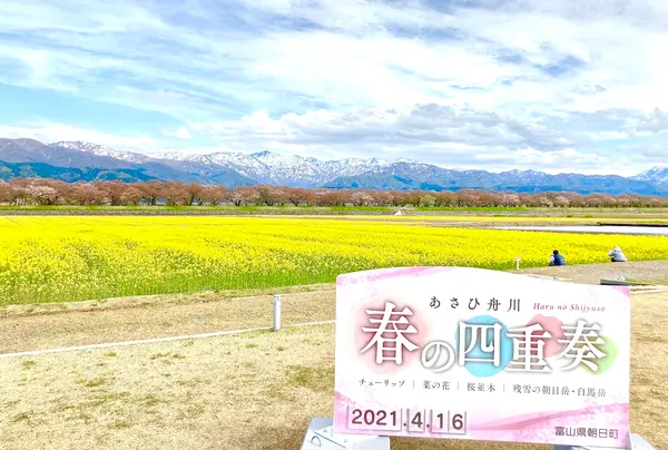 菜の花の香りに迎えられて